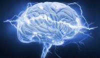 ارتباط منطقه حافظه در مغز با اضطراب و افسردگی