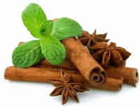 10 گیاه دارویی بومی ایران برای درمان سوختگی را بشناسید