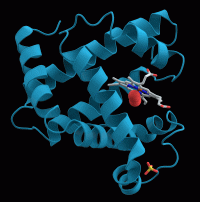 کشف پروتئین کمک کننده به مبارزه با سرطان