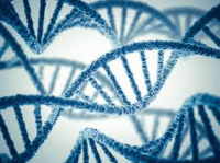 شناسایی ۷۶ ژن جدید مقاوم به آنتی بیوتیک