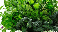 سبزیجات پهن برگ از بیماری کبد چرب پیشگیری می کنند